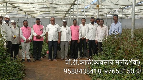 modern spice processing machin