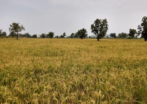 update image
