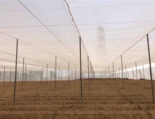 update image