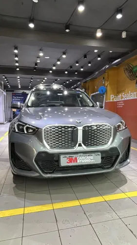 professional paint protection