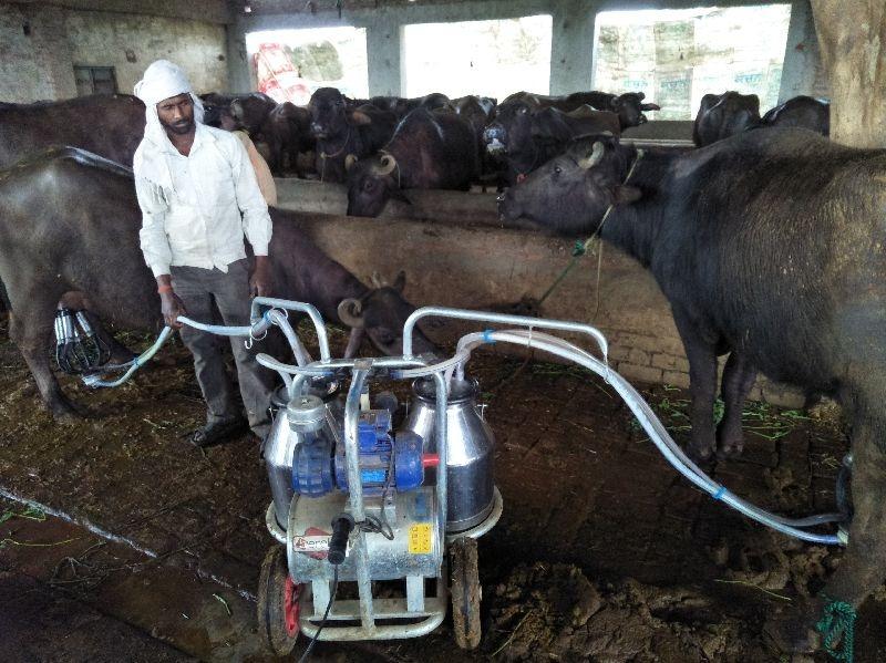 complete consultancy services