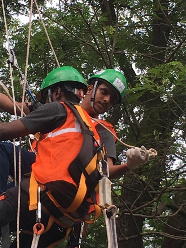 scaffolding course for constru