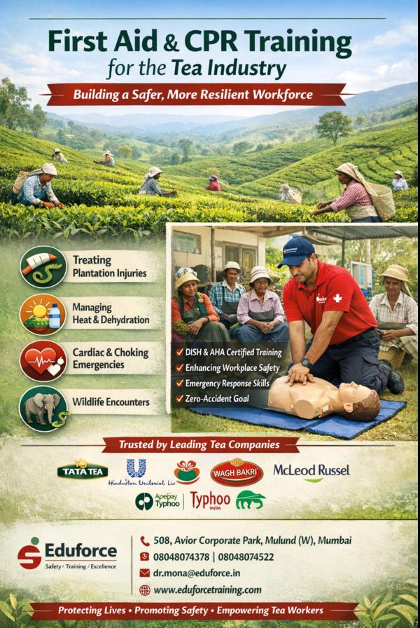 international standard wind sa