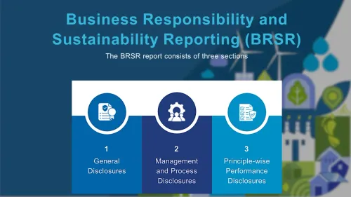 business responsibility report