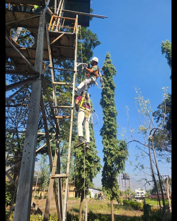 full body harness for working 